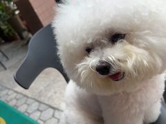 -御宝贝24h宠物医院·转诊中心·CT核磁血透中心(厦门总院)