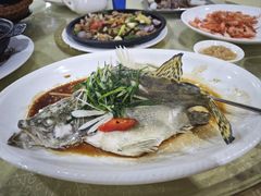 -大自然美食农庄(广州南站店)