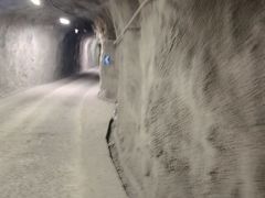 -如意香辣鸡架(总店)