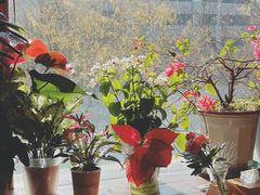 -云之南(八里庄店)