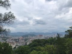 -福道