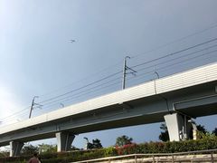 -宝安西湾红树林湿地公园