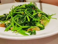 -上海人家花樣年华(虹口龙之梦店)