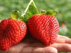 -心乐生活新鲜屋(星海广场店)