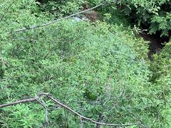 -野三坡清泉山风景区