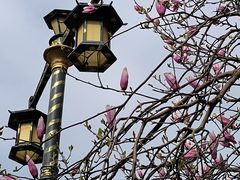 -唐城墙遗址公园