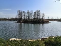 -马家湾湿地公园