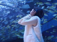 -海合安成都极地海洋公园