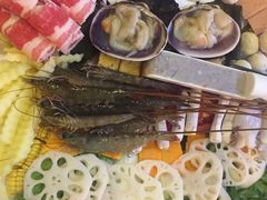 -海桐