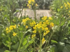 -上海浦南农副产品批发市场