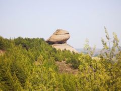 -磬锤峰森林公园
