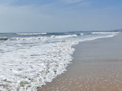 -日照海滨国家森林公园