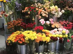 -植物学家的女儿(北马道巷店)