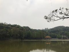 -西樵山风景名胜区-天湖公园