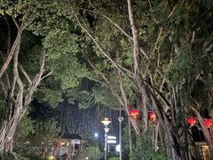 -碧水湾温泉
