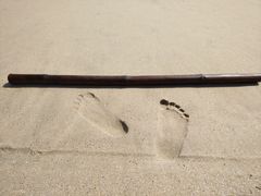 -西涌国际滨海旅游区