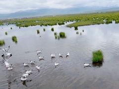 -花湖生态旅游区