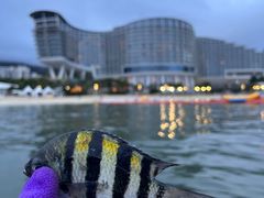 -深圳大梅沙京基洲际度假酒店