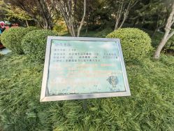 -酷酷兔少儿拓展天地