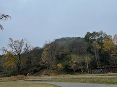 -千年银杏谷文化旅游区