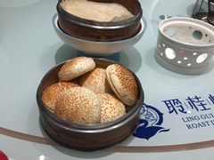 -聆桂烤鸭·金奖烤鸭(静联广场店)