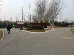 -东郊湿地公园