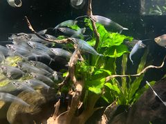 -太平洋海底世界餐厅