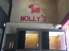 -MOLLY'S萌宠生活馆
