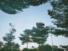 -大丰收脆鱼(浦西万达店)