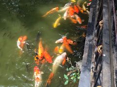 -珠海圆明新园