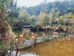 -千岛湖东南湖区