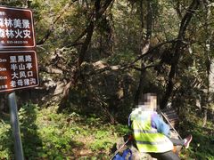 -南京老山国家森林公园