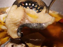 沸腾鱼-辣婆婆(航天桥店)