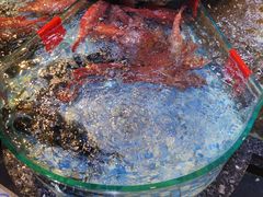 海鲜池-德胜轩正宗顺德菜(宝安沙井会展中心店)