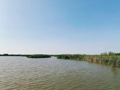 -宁波杭州湾国家湿地公园