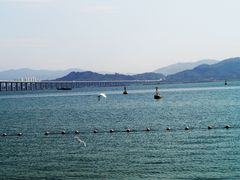 -深圳湾公园(南山区)