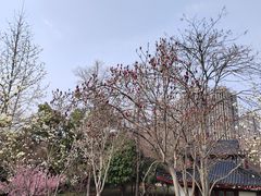 -堤角公园