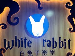 -白兔子密室(长寿路店)