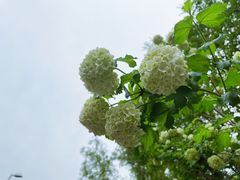 -北京奥林匹克公园