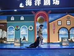 -重庆欢乐海底世界