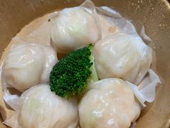 宝园虾饺皇-宝园酒家(美林M·LIVE天地东座店)