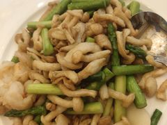 虾仁茶树菇小炒-万宝海鲜舫(劳动公园店)