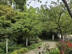 -南山植物园