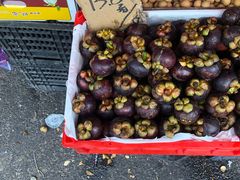 -红星农博物流中心