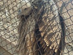 -青藏高原野生动物园