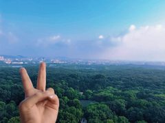 -灵谷景区