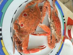 iphone_upload_pic-阳光五洲大酒店·宴会厅