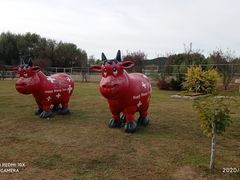 -大连铭湖国际观光牧场