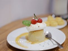 -猫里有甜