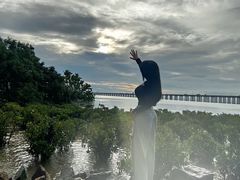 -宝安西湾红树林湿地公园